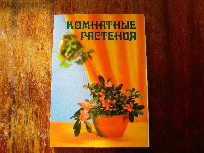 Растенията в дома ни (руски)