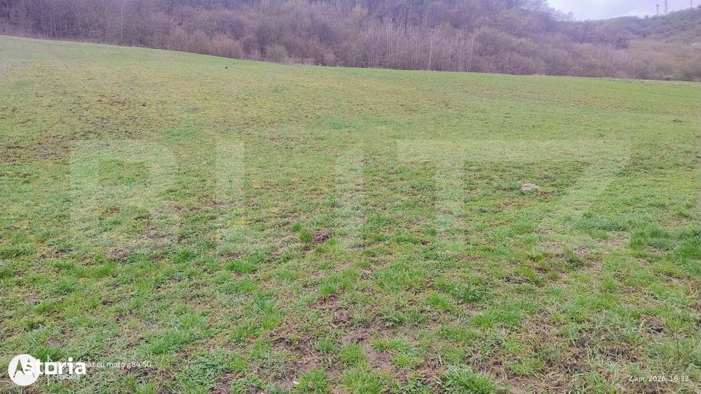 Teren superb 2.500 mp in Nicula – liniste, natura si priveliste de v