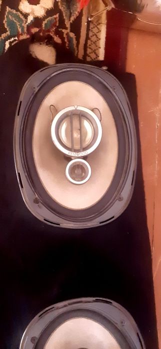 Kalonka sotiladi arginal