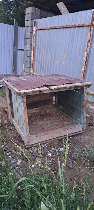 Будка сатылады Алабайға