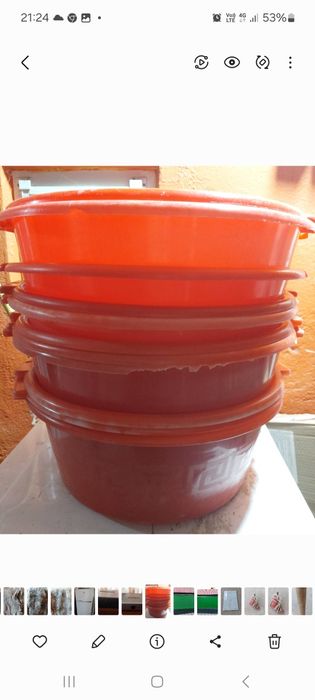 Ванночки для купания голубей,