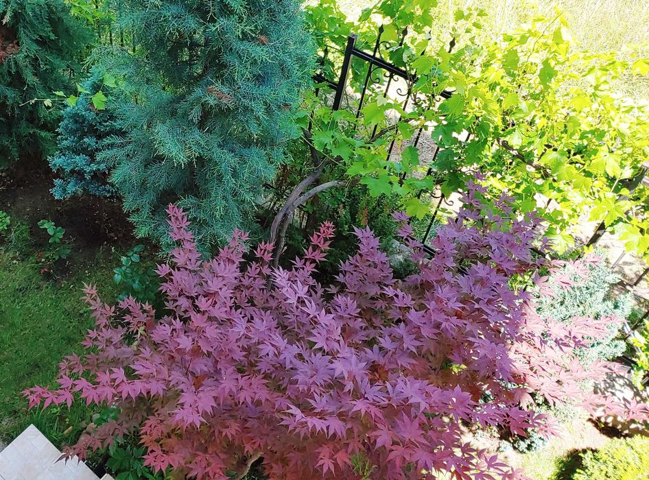 Продава се Едностаен апартамент в София, Овча купел - 35 кв.м за 3000 €/кв.м - Снимка #9