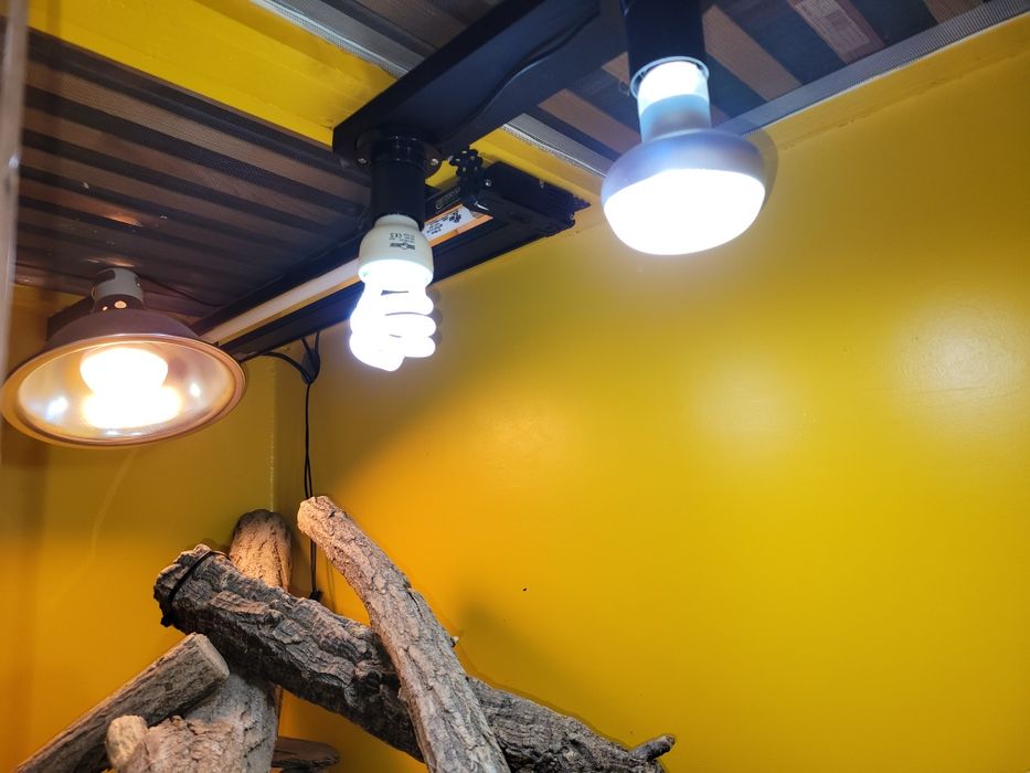 Terariu 120x60x60 din lemn  si Agama cu barba