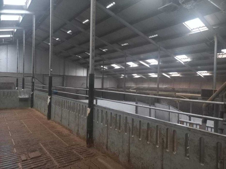 Hala Galvanizata import Olanda