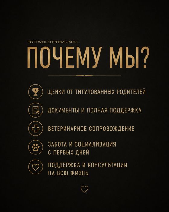 ЩЕНКИ РОТВЕЙЛЕРА премиум-класса