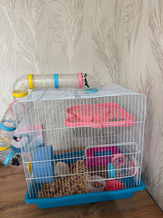 Хомяки с клеткой
