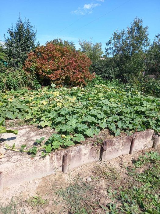 Продам дачный домик с участком в пригороде Алматы