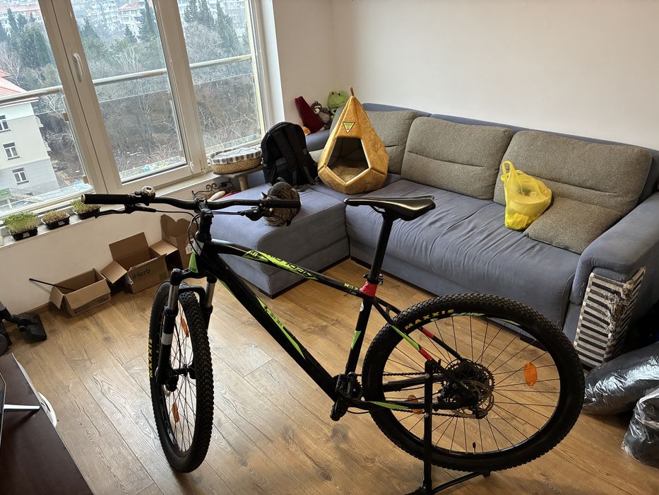 Sprint Apolon Pro 29”