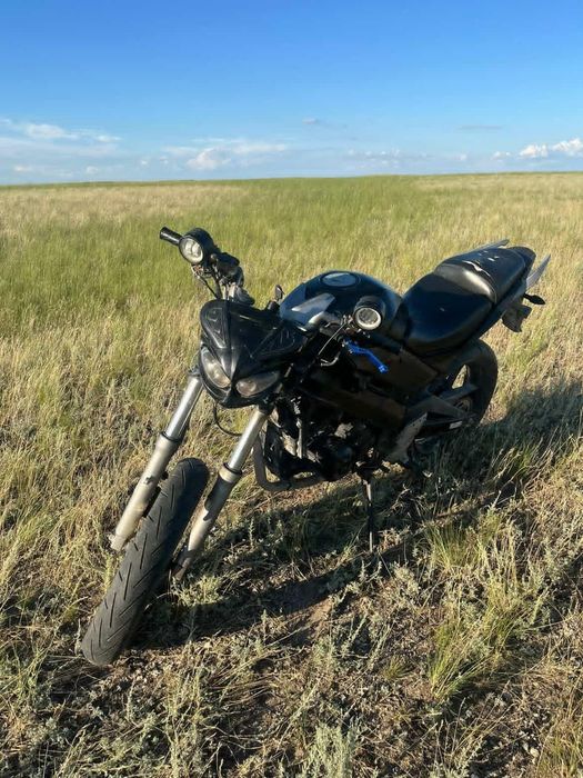 Reiser Skyway 250RR