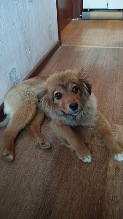 Девочка, 4 месяца.