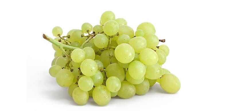 Butasi vita de vie de masa si vin anul 1