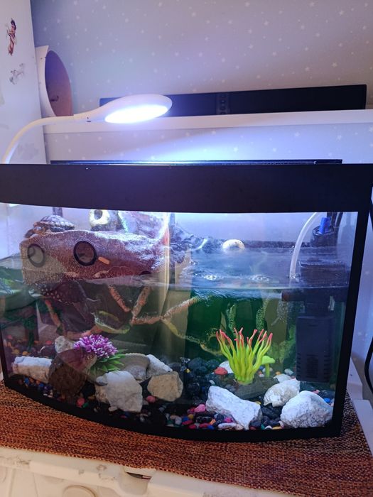 Продается аквариум с черепашками