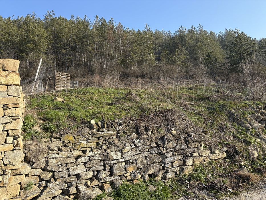 Панорамен парцел гр.Дебелец 463кв. южен склон