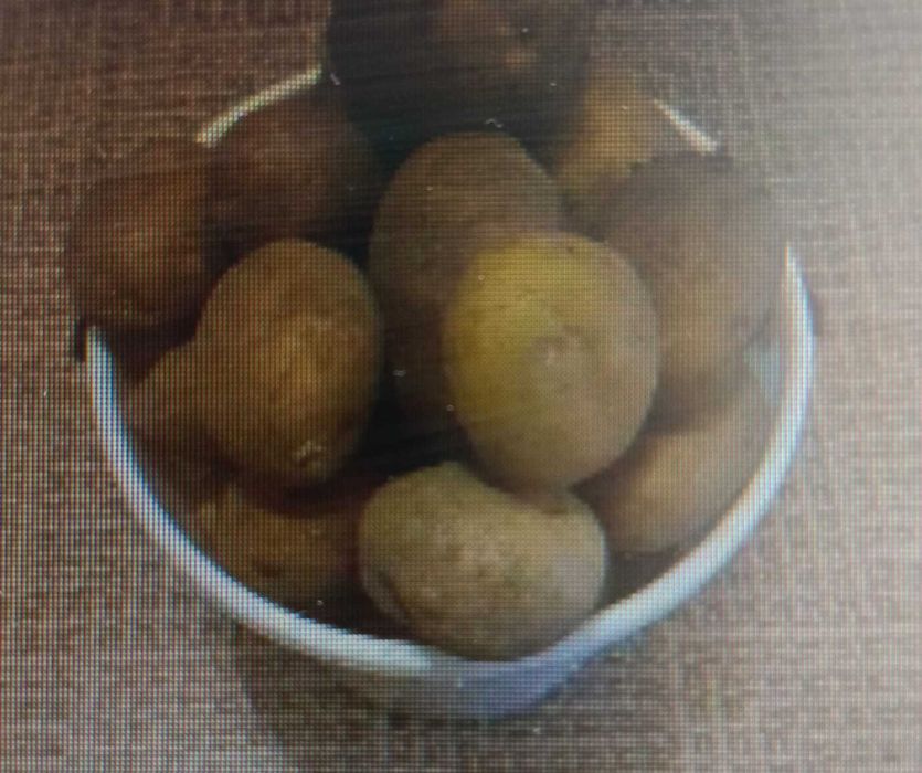 Картофель 300 тг кг