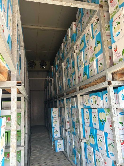 Сдаются холодильные камеры по 70 м² в Ташкент, Бектемирский район