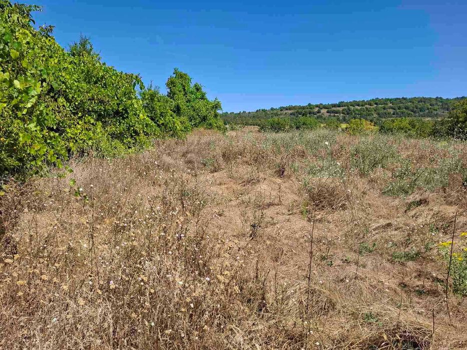 Парцел в село Церова кория