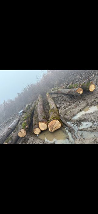 Lemn de foc gros fara farfuri