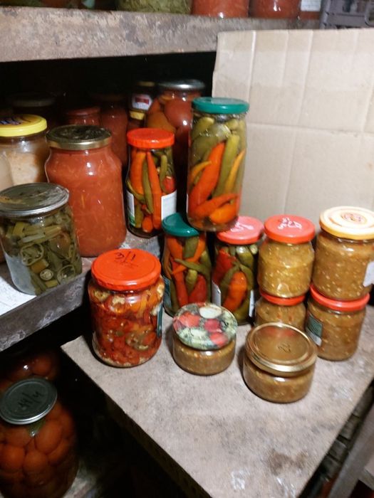 Перец острый соленый, помидоры бочковые,лечо, огурцы в томате, грибы.