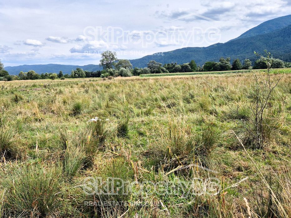 Предлагаме два съседни имота за продажба!