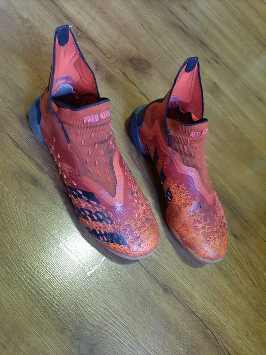 Сороконожки предатор