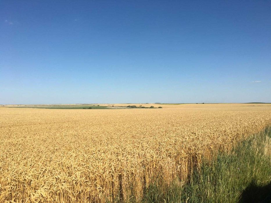 Vand 103 ha teren agricol compact