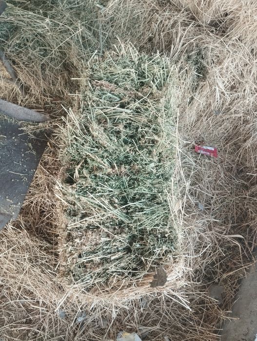 Жоңышқа прес бар