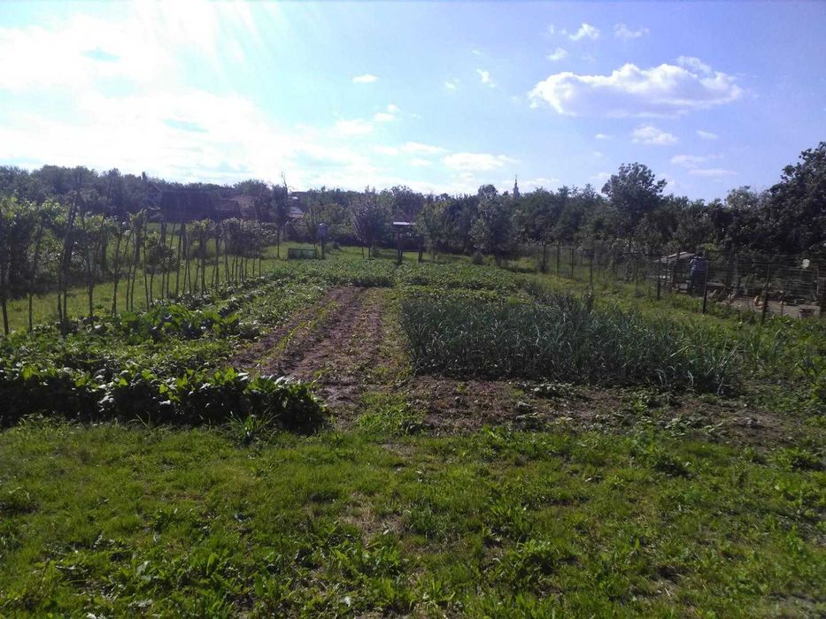 Vând casa in loc.Barsa