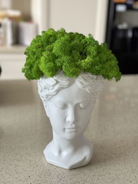 Decoratiuni cu licheni naturali