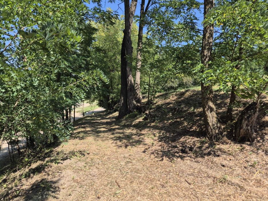 Casă de vânzare în centrul satului Răzoare, Mureș + teren, anexe, gaz