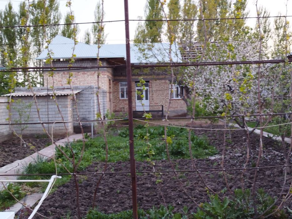 Qibray tumani Obihayot mahalla 8uy sotiladi