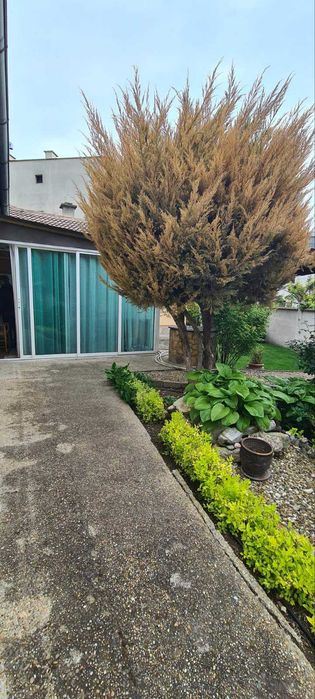 Продава се Къща в Варна, Аспарухово - 120 кв.м за 1148 €/кв.м - Снимка #5