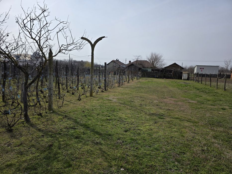 Vand casa comuna Celaru, sat.Soreni ,jud.Dolj