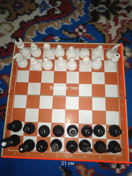 Шахматы магнитные.