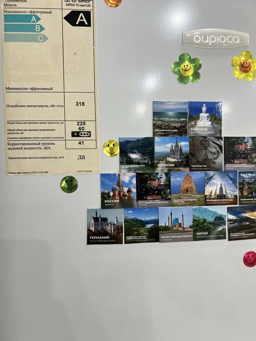 Холодильник БИРЮСА