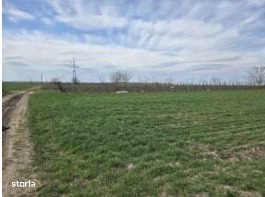 Teren extravilan Cota parte 29/64 Greaca, ID: R3030129