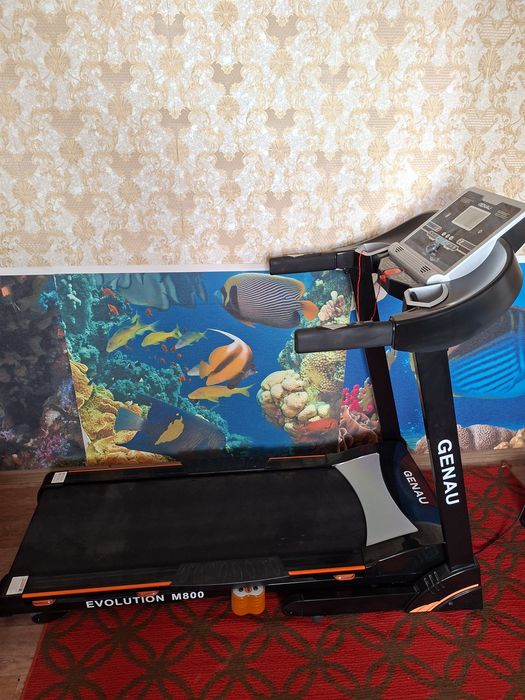 Продам Бегавую дорошку б/у.