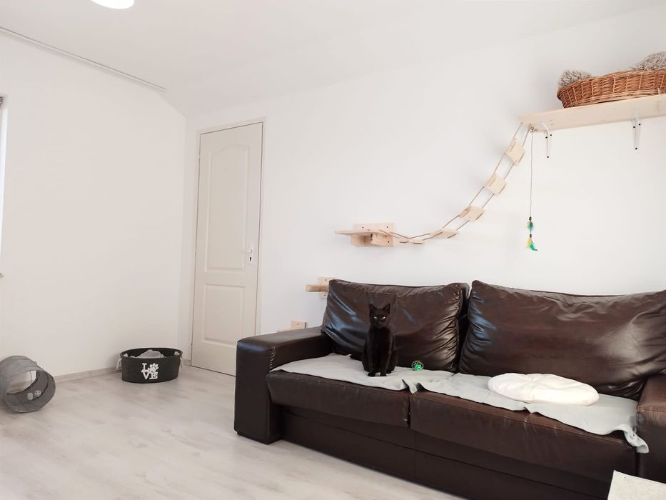 Cazare pentru pisici și alte animaluțe mici