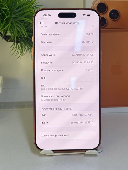 iPhone 17 Pro Max E-sim