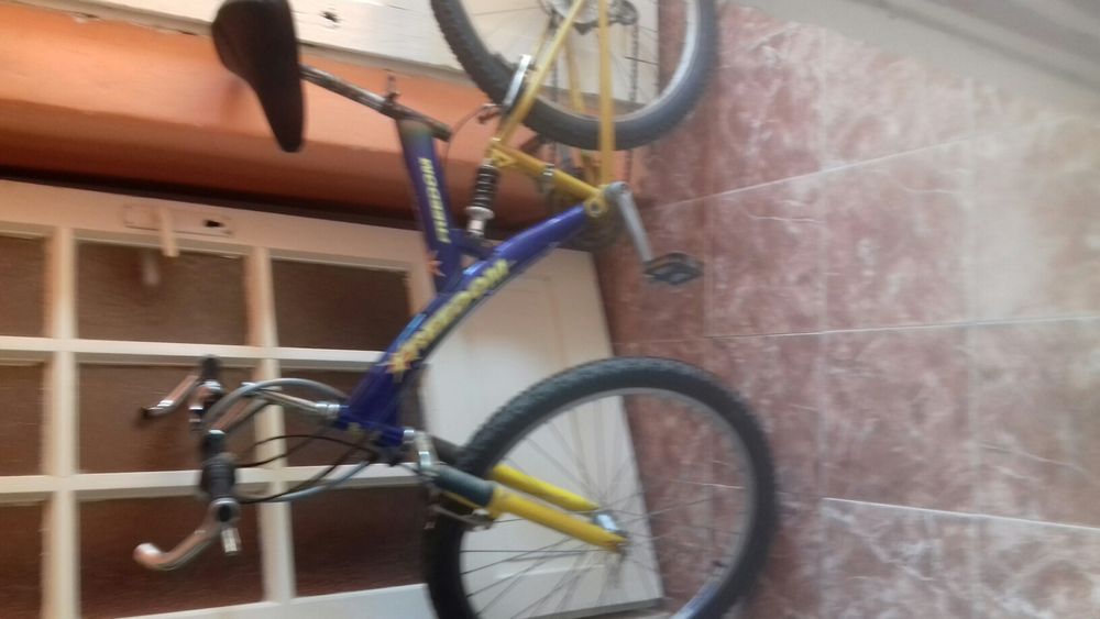 Bicicleta Freedom