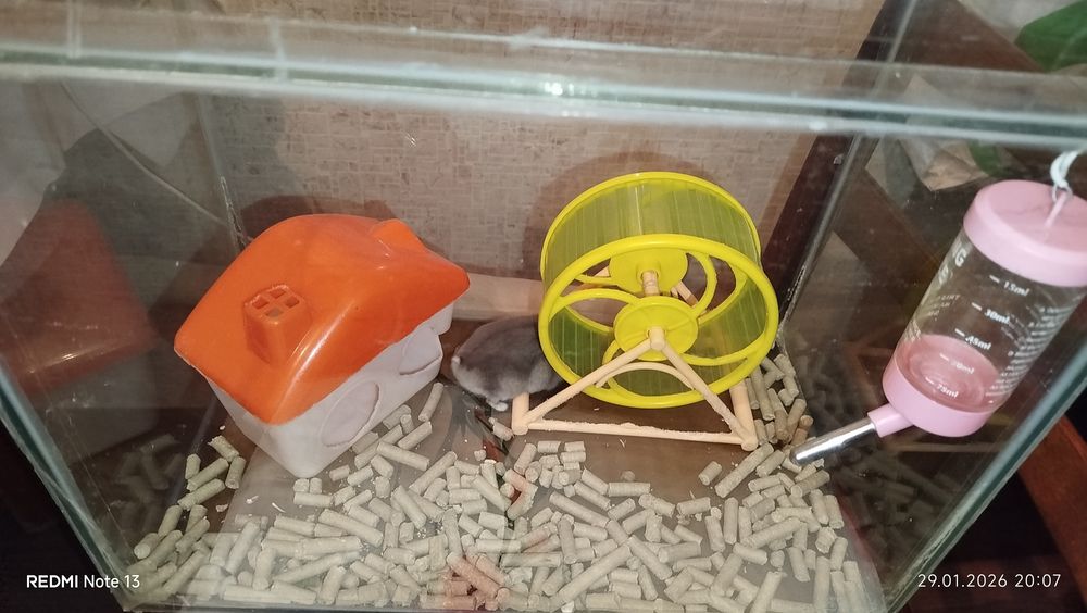 Набор для хомячков