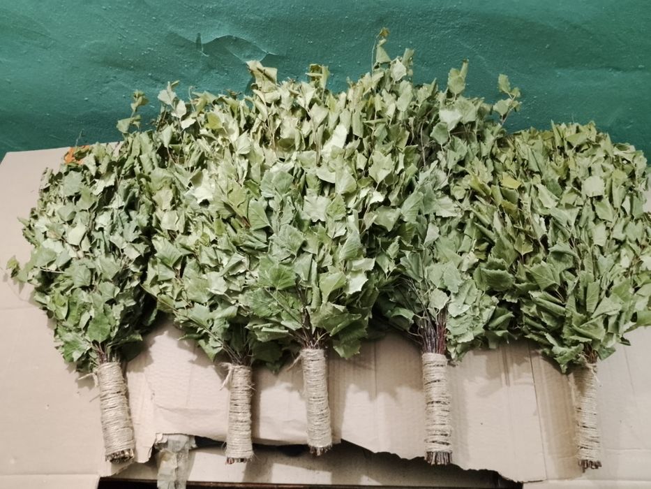 Березовые веники