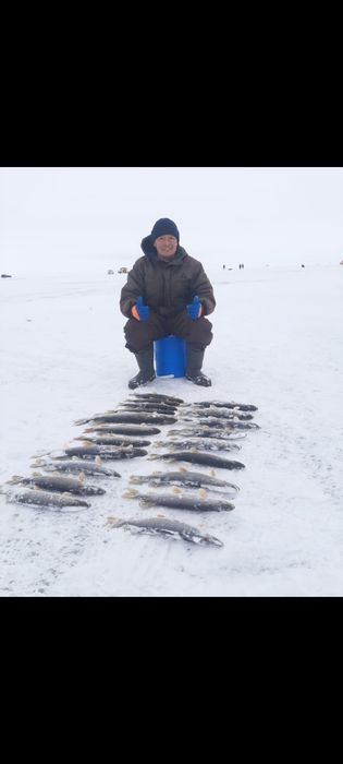 Рыбалка, выезд на рыбалку