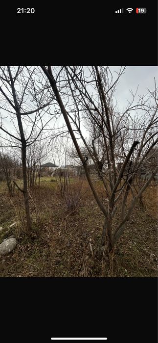 Срочно продам дачу