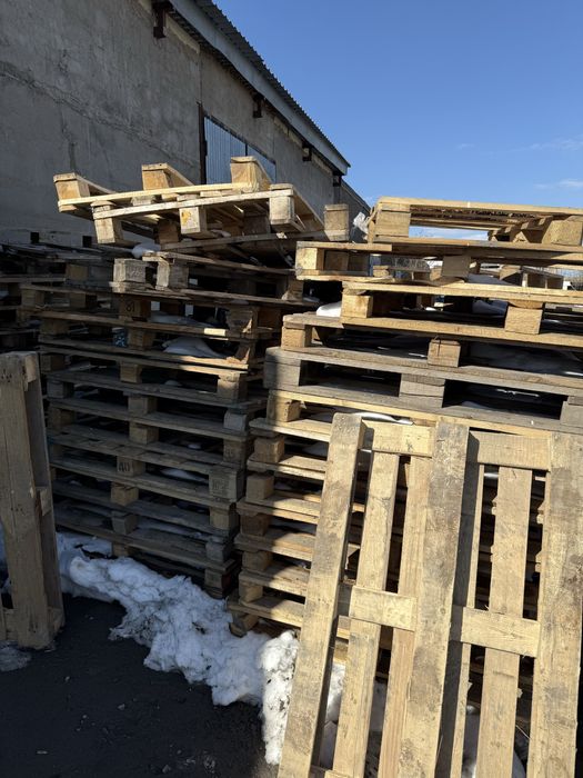 Продам поддоны оптом .