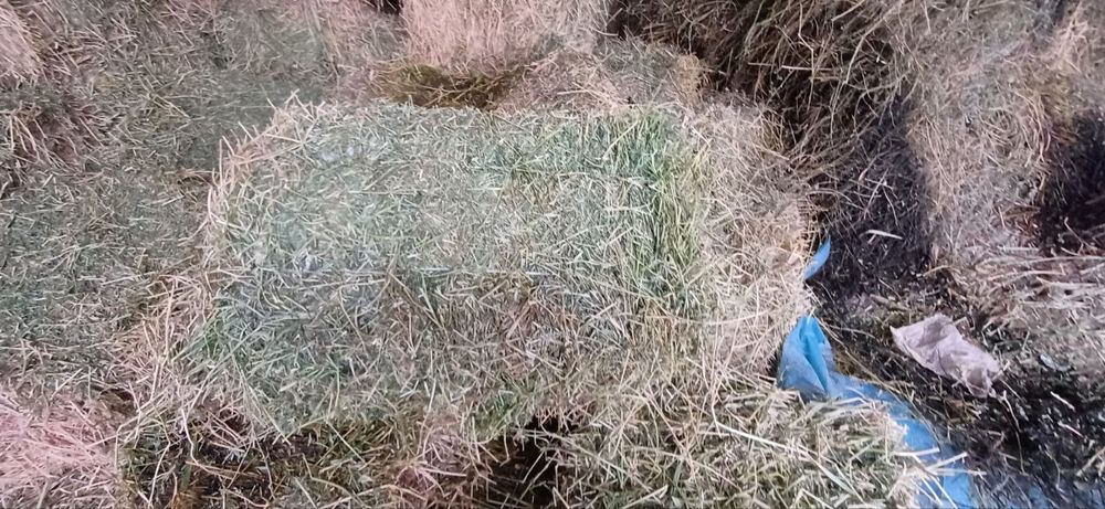 Beda press sotiladi 45 000 dan optimga kelishamiz