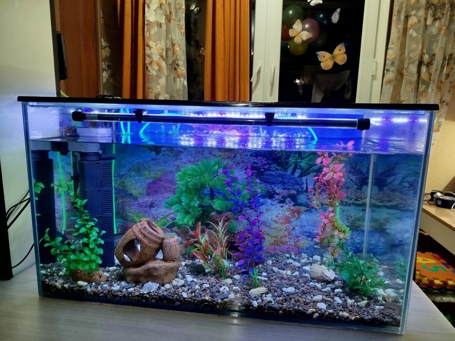 Аквариум на 100 литров