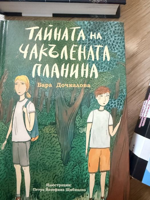 Minevraft , Айде Бг “Тази книга е тайна” Brawl Stars енцикопедия, Стан