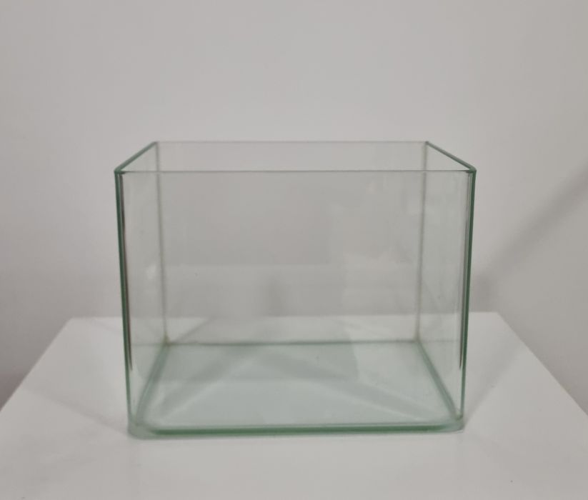 Nano acvariu sticlă 5.6 Litri (22x15x17 cm)