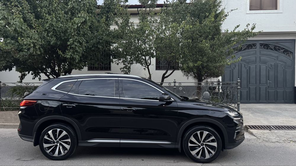 Byd chempion gibrit 150