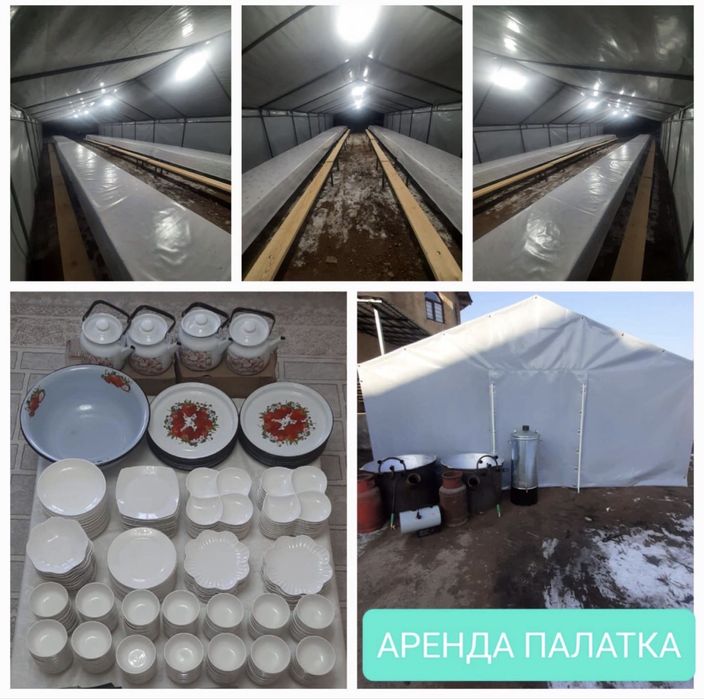 Аренда палатка 24/7